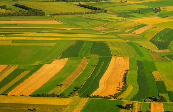 Campos verdes vista aérea antes de la cosecha —  Fotos de Stock