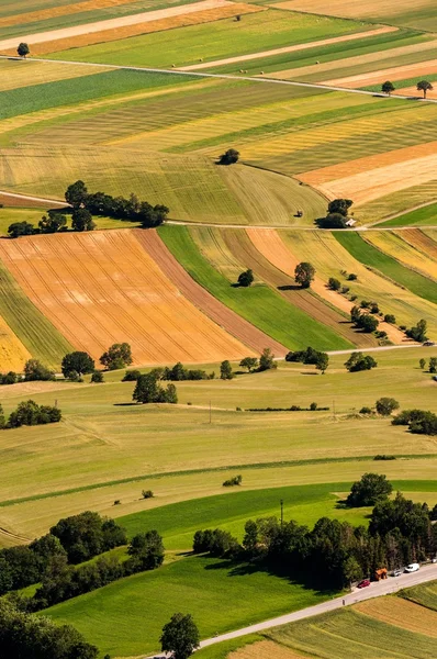 Letecký pohled na zelené pole před sklizní — Stock fotografie