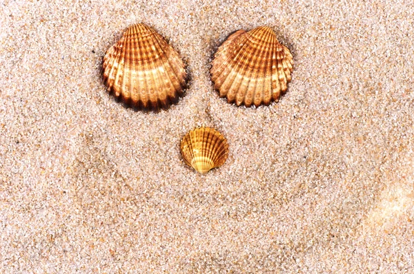 Sea shell in soft sand — Stock Photo, Image