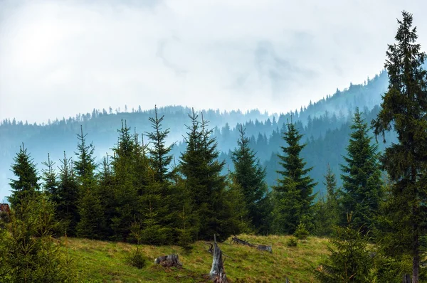 Schöne Landschaft in den Bergen — Stockfoto