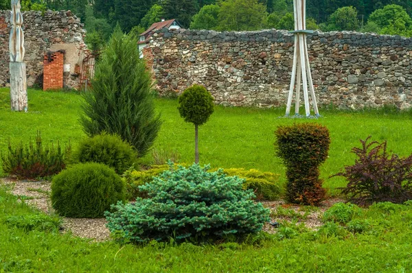 Prachtig park met struiken en planten — Stockfoto