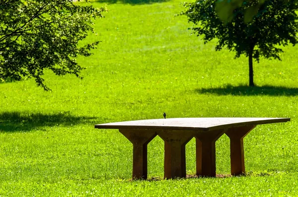 Drewniany stół w parku — Zdjęcie stockowe