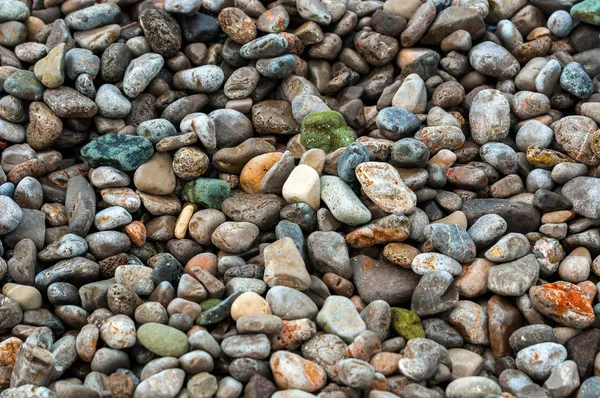 Pebble stones at the sea — Stock Photo, Image