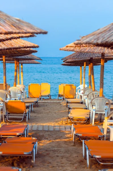 Tropische Szenerie am Strand — Stockfoto