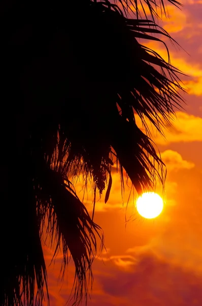 Gouden zonsondergang op een Middellandse-Zeegebied — Stockfoto