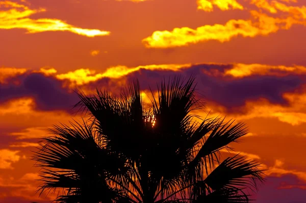 Puesta de sol dorada en una zona mediterránea — Foto de Stock