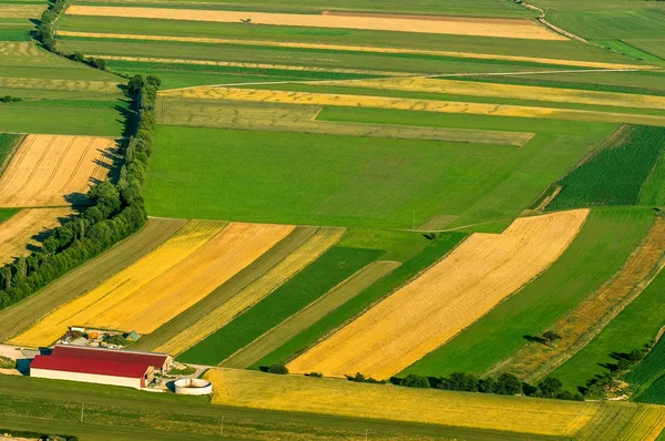 Luchtfoto van het groene velden vóór oogst — Stockfoto