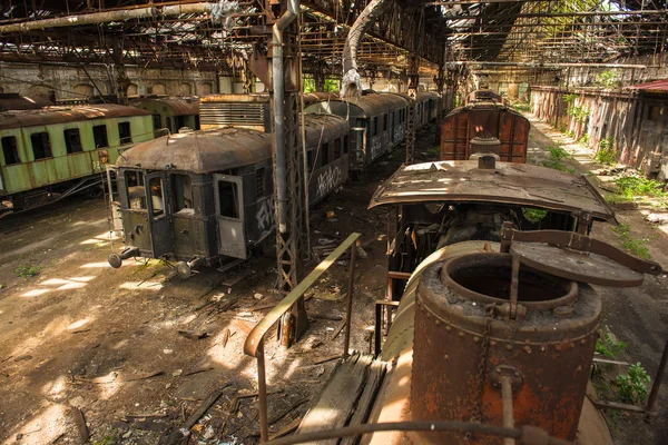 Yük trenleri eski tren depo içinde — Stok fotoğraf