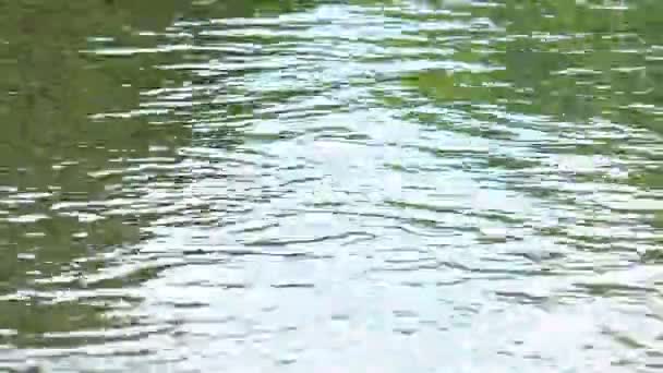 Reflectie op schoon water — Stockvideo