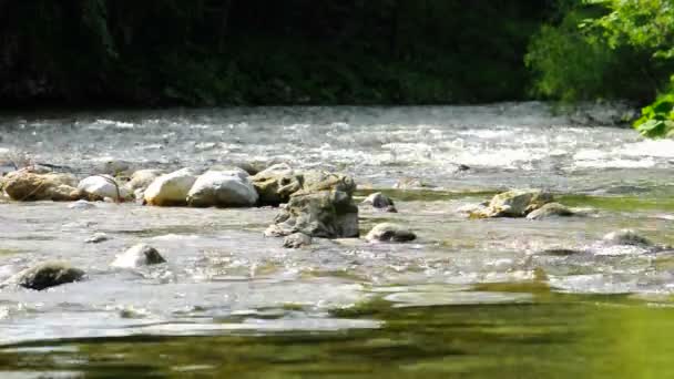 Woda płynąca po skałach — Wideo stockowe