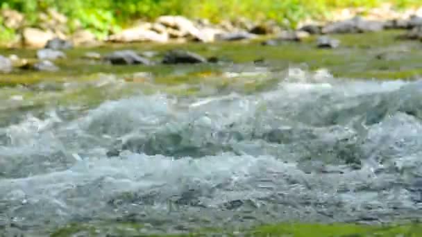 Voda tekoucí v řece — Stock video