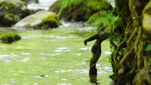 Woda płynąca w rzece — Wideo stockowe