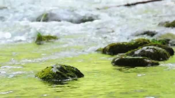 Wasser fließt in Fluss — Stockvideo