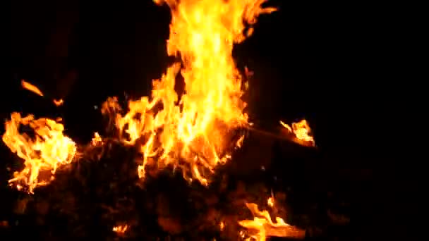 Vuur branden in de oven — Stockvideo