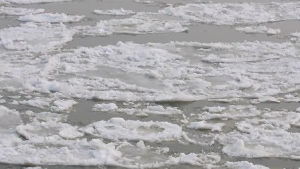 Jég áramlik a befagyott folyón — Stock videók