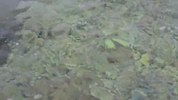 일부 모래 해 안에 근접 촬영 — 비디오