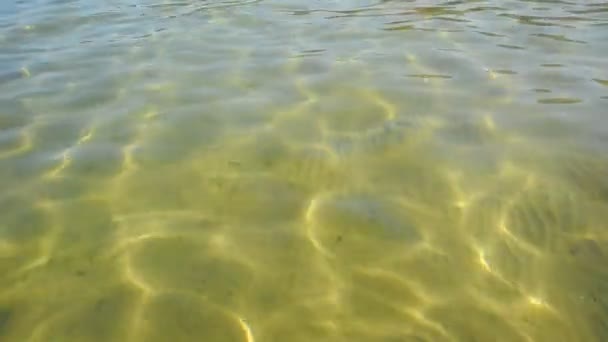 Helle Wasseroberfläche mit sauberem Wasser — Stockvideo