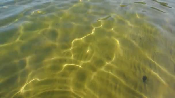 Surface de l'eau lumineuse avec de l'eau propre — Video