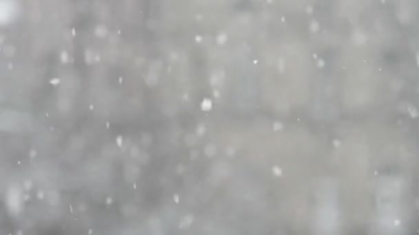 Sneeuw flling uit de hemel — Stockvideo