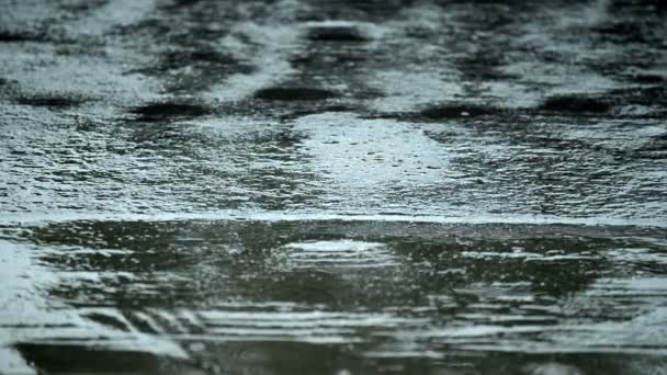 Капли дождя падают на дорогу — стоковое видео