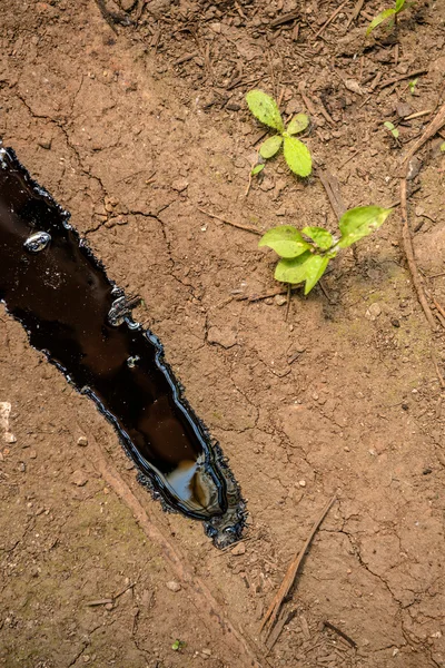 Oil contaminating the soil — Stock Photo, Image