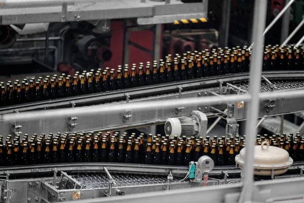 ビール工場の内部 — ストック写真
