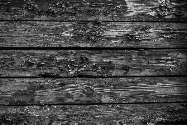 Wood texture closeup photo — Stock Photo, Image