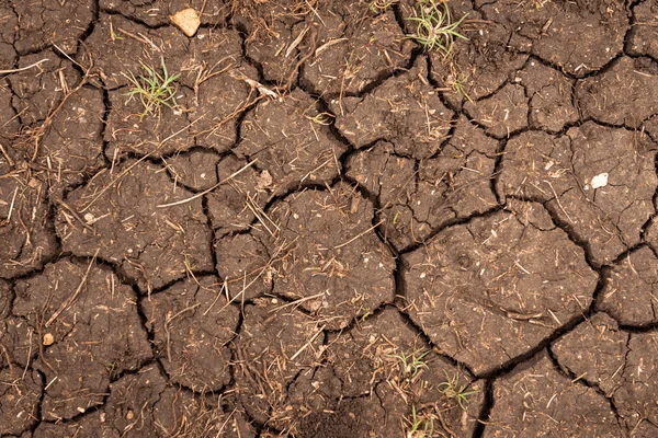 Primer plano de la textura del suelo seco — Foto de Stock
