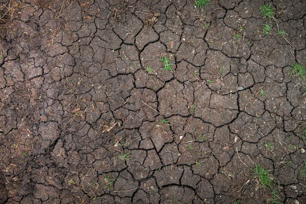 乾燥土壌テクスチャのクローズ アップ — ストック写真