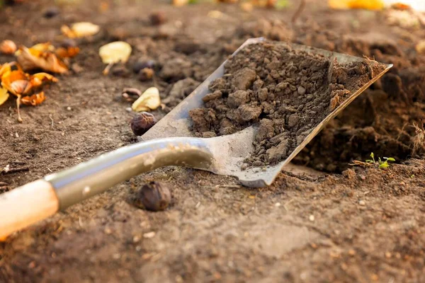 Lifting soil woth shovel closeup photo — Stock Photo, Image