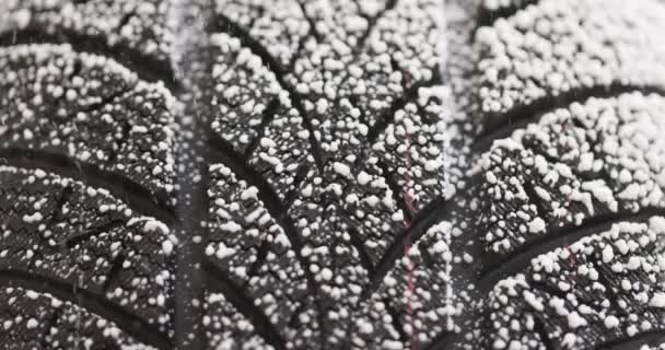 शीतकालीन टायर क्लोजअप फुटेज पर बर्फ गिर रही है — स्टॉक वीडियो