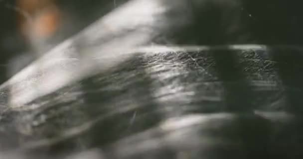 Tela de araña sedosa suavemente soplado en el viento — Vídeos de Stock