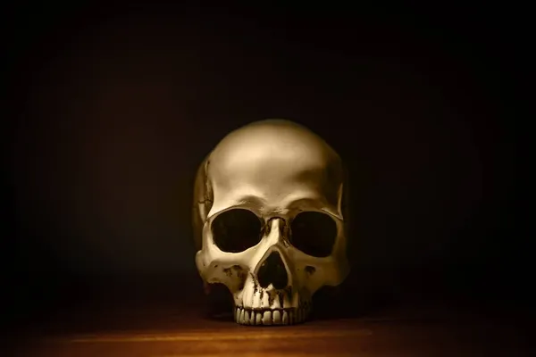 Людський череп на темному тлі — стокове фото