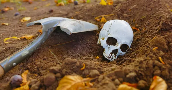 Toter Schädel auf dem Boden Großaufnahme Foto — Stockfoto