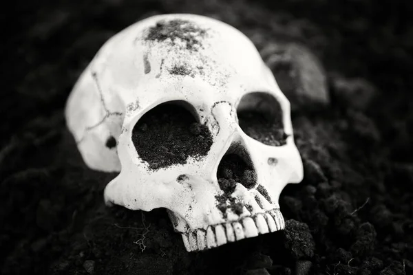 Menschlicher Schädel in der Erde schwarz-weiß — Stockfoto