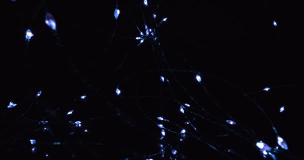 Lenzen bewegen door led spoel in het donker — Stockvideo