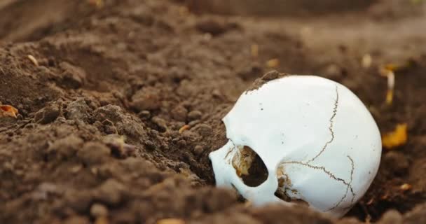 Burying skull under the soil with shovel camera sliding in — Stock Video