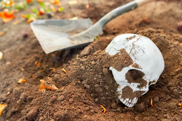 Crâne mort sur le sol gros plan photo — Photo