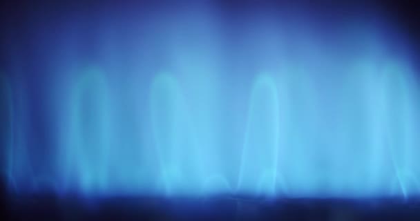 Blue flame of domestic gas burner closeup — Stock Video