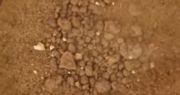 Soil stirring up while earthquake — Stock Video