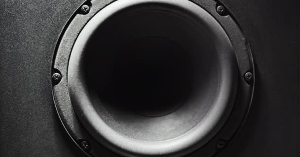 Membrana subwoofer che passa alla musica ad alto volume — Video Stock