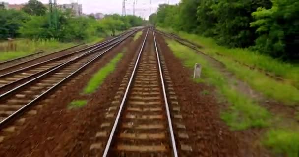 曇りの空の下でのビュー列車の旅のポイント — ストック動画