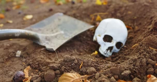 Burying skull under the soil with shovel camera sliding in — Stock Video