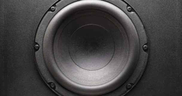 Membrana del subwoofer que se mueve a música de alto volumen — Vídeo de stock