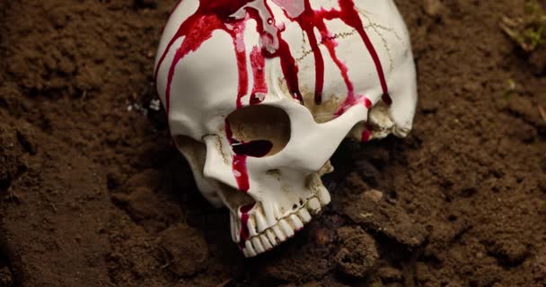 Мертвий людський череп в грунті крупним планом — стокове відео
