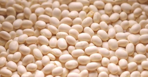 Imagens de close-up de grãos secos naturais girando — Vídeo de Stock