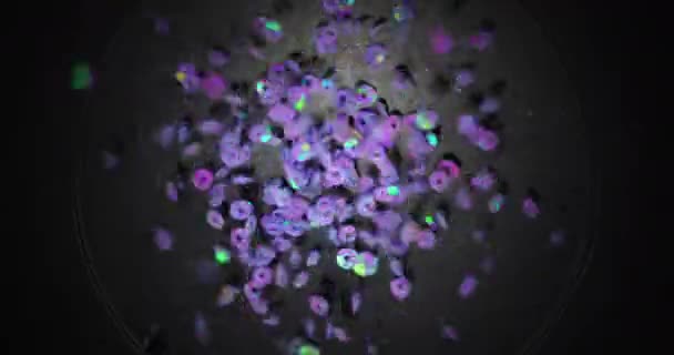 Petites particules colorées qui tremblent sur fond sombre — Video