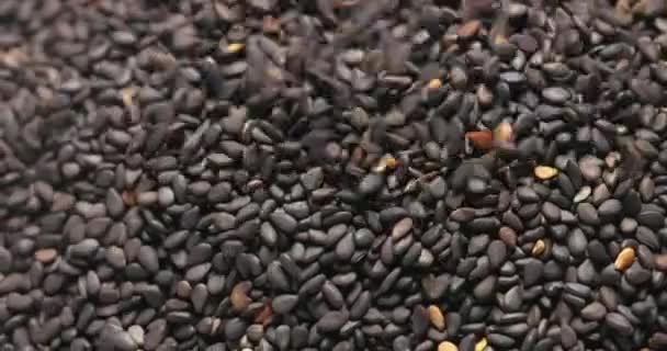 Imagens de close-up de sementes pretas secas naturais girando — Vídeo de Stock