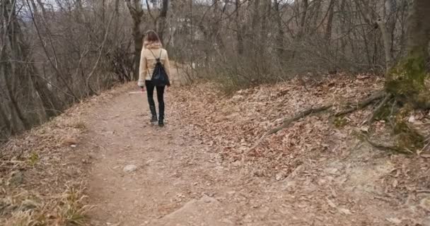 Camera following woman on forest path slow motion — Stock Video