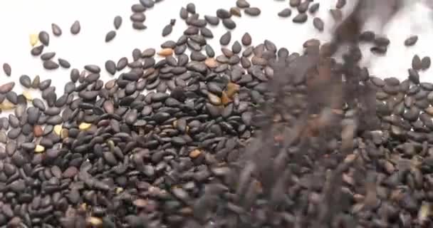 Images Rapprochées Graines Noires Séchées Naturelles Qui Coulent — Video
